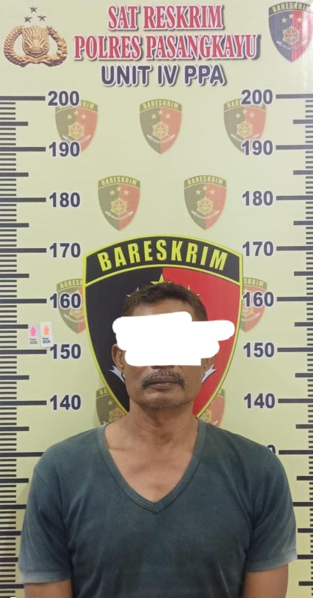 (pelaku pemerkosaan pada anak tirinya yang masih berstatus pelajar di Pasangkayu,Sulbar)