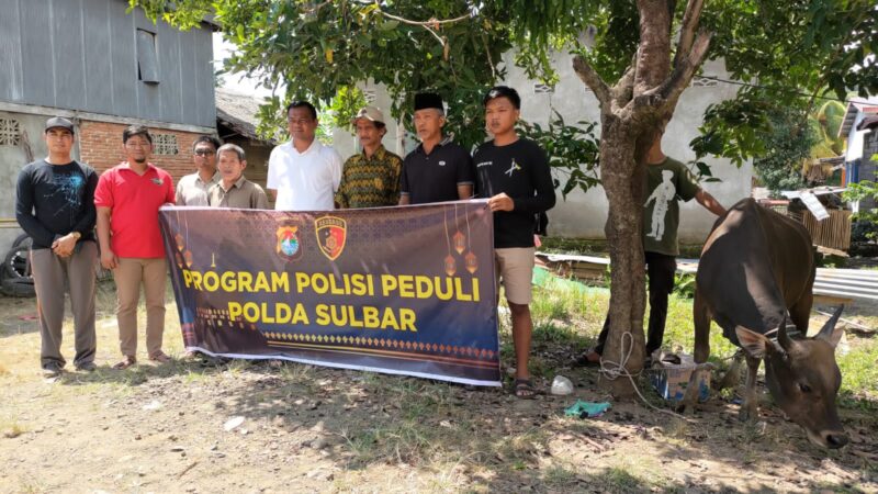 (Polda sulbar salurkan 6 sapi kurban ke pesantren dan masjd di mamuju, foto: hms)