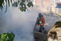 (Dinkes Mamuju gencarkan fogging cegah penularan DBD, foto: dok.ist)