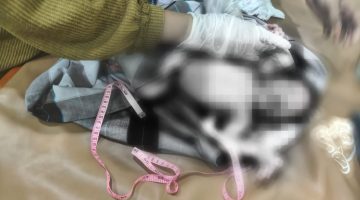 Geger Warga di Babana Mateng Temukan Bayi di Kebun Sawit, Polisi Selidiki