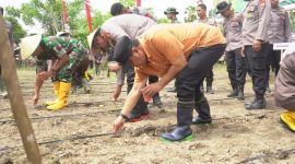 Dok.istimewa