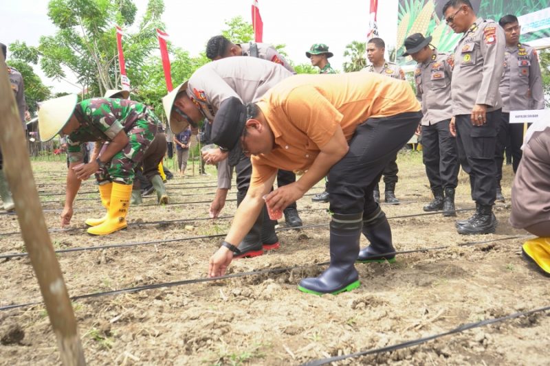 Dok.istimewa