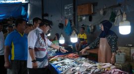 Bahtiar bersama Forkopimda cek harga pangan di pasar, dok.ist