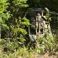 Truk terjun ke jurang 30 meter di Kalumpang Mamuju, dokumen.istimewa