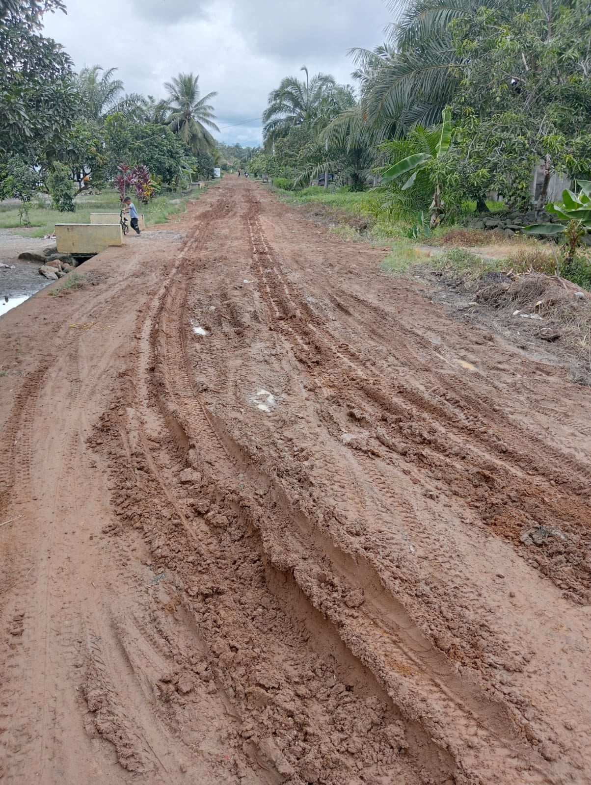 Jalan di dusun lombok permai desa paraili
