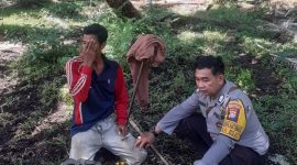 Oplus_131072
