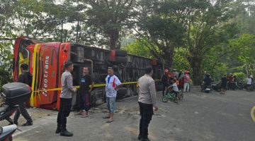 Bus Neo Trans terguling di Jalan Trans Sulawesi, Mamuju. dokumen istimewa