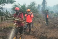Kebakaran hutan dan lahan di Tommo Mamuju, dokumen istimewa