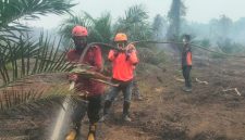 Kebakaran hutan dan lahan di Tommo Mamuju, dokumen istimewa